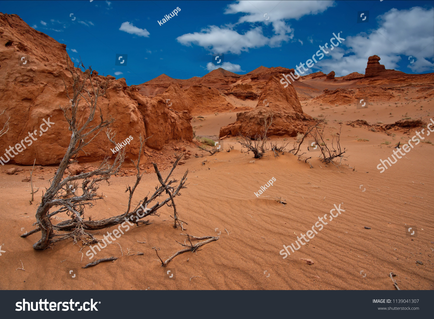 South-Western Mongolia. Oasis Harmen Tsav in the heart of the Gobi desert