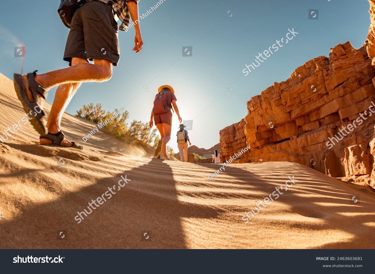 Group of tourists with small backpacks walks in sunset desert