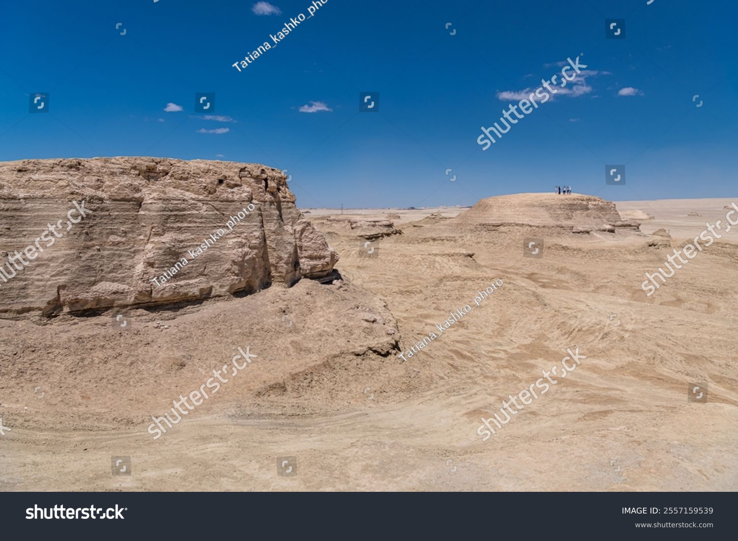Close up on one of the Yadan geological formations in Qinghai  China  copy space for text  panorama