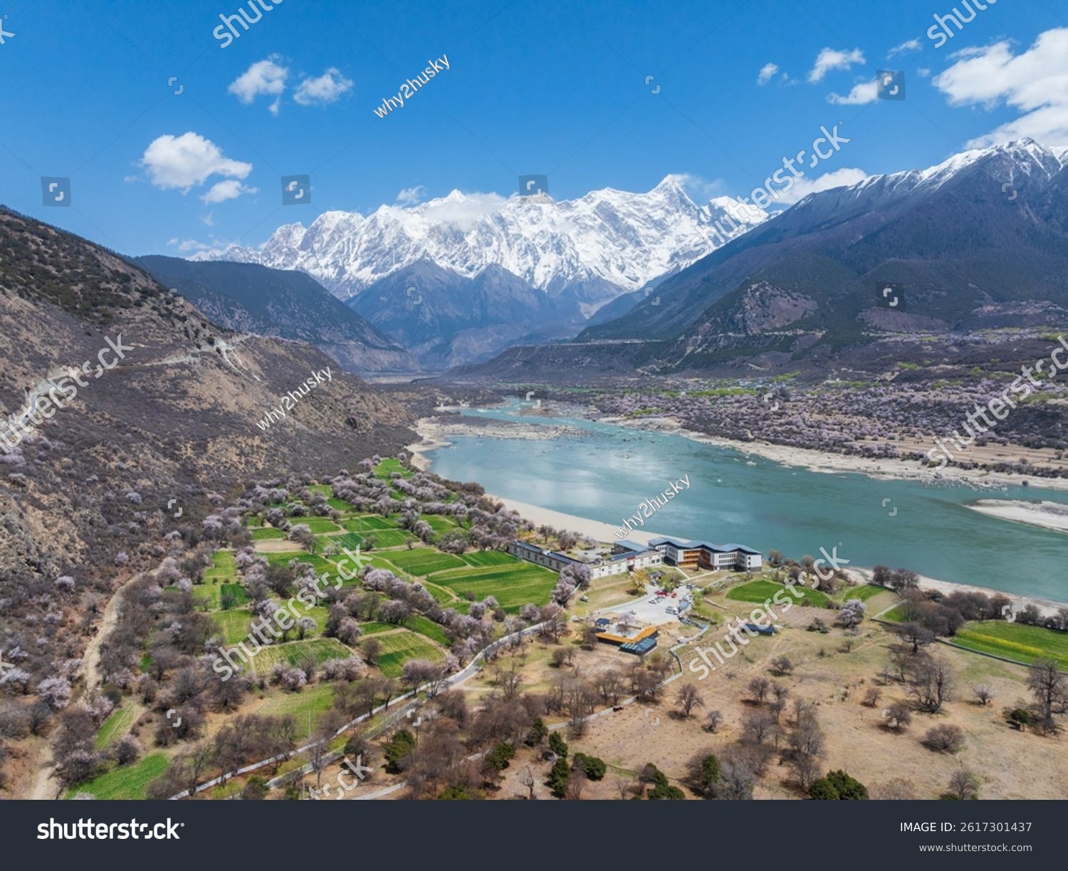 Nyingchi Tibet China - 7th April 2025 - Beautiful peach blossoms along Yarlung Zangbo River and view of Namjagbarwa Peak and its reflection