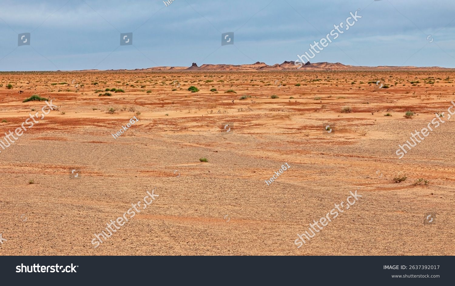 The landscape of the Gobi Desert in Mongolia
