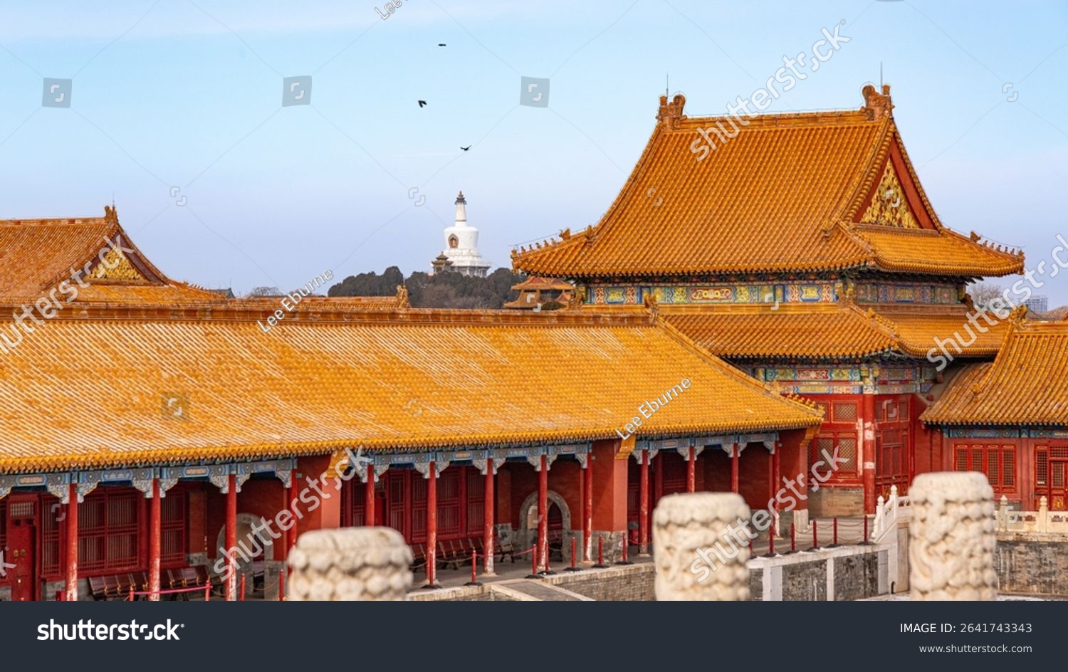 The Forbidden City in Beijing China displays its iconic golden rooftops and traditional architecture with the white pagoda of Beihai Park visible in the background under a clear sky.
