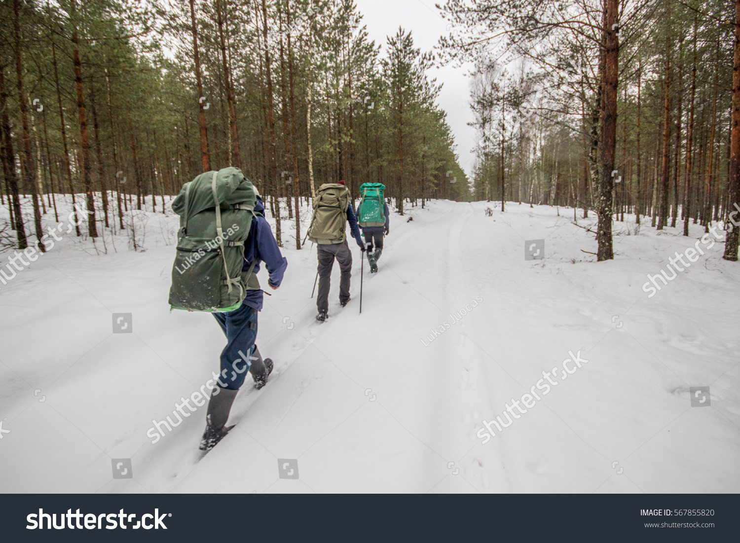 Winter hike in Lithuania
